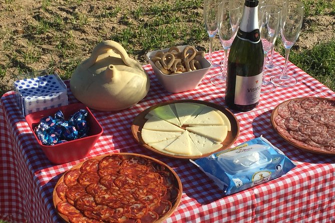 Hot Air Balloon Ride in Segovia with Toast, Picnic and Video - Meeting at 7:00 a.m. near Segovia’s train station