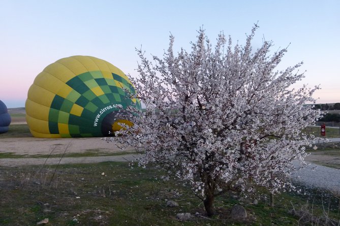 Hot Air Balloon Ride in Segovia with Toast, Picnic and Video - Looking down on Segovia Cathedral and the Alcazar