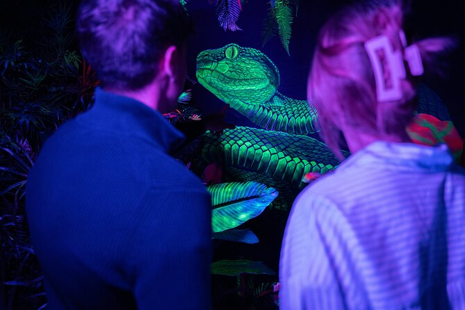 IKONO: a Unique Sensory and Photographic Experience - What May Disappoint You