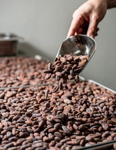 KAIACAO Bean to Bar and Design your own chocolate experience - Tasting KAICAO’s date-sweetened products