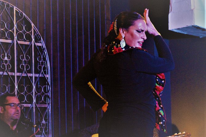 Local Flamenco Show at El Cortijo - What happens during the 90-minute visit