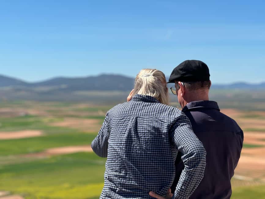 Madrid: Consuegra Molinos del Quixote Tour - Is $111 a fair price?