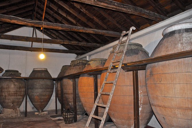 Madrid Countryside Wineries Guided Tour with Wine Tasting - Bodegas Jesús Díaz e Hijos and the clay cellar