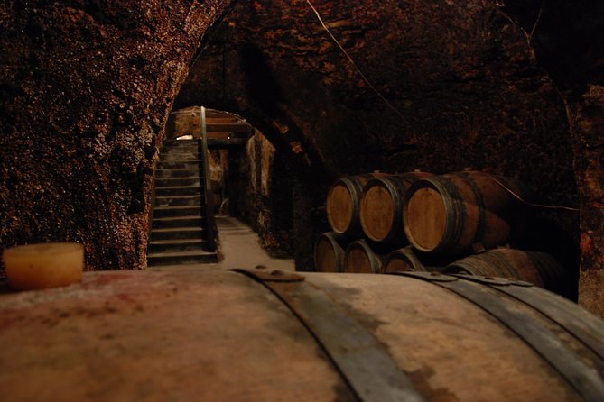 Madrid Countryside Wineries Guided Tour with Wine Tasting - The guides can shape the whole day