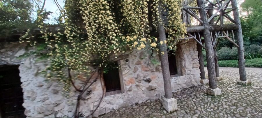 Madrid: El Capricho Park Tour - Three centuries of changing purpose