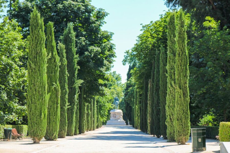 Madrid: El Retiro Park Self-Guided Audio Tour - Crystal Palace, the visual high point