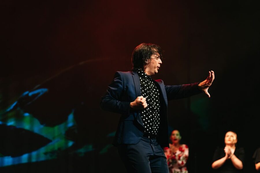 Madrid: "Emociones" Live Flamenco Performance - Key points before you book