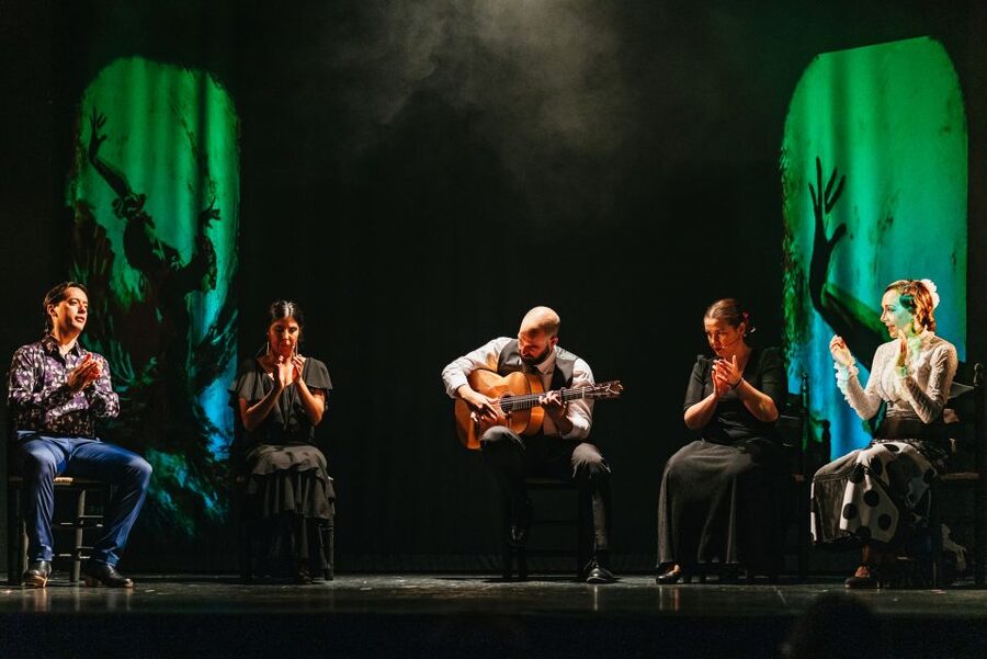Madrid: "Emociones" Live Flamenco Performance - The welcome drink and table service