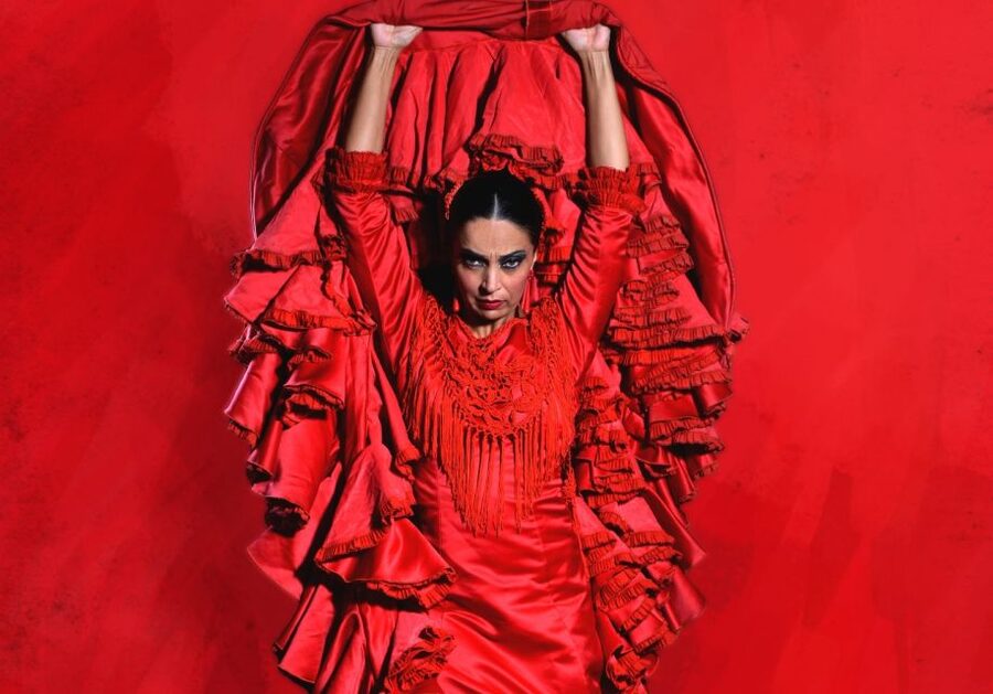 Madrid: "Emociones" Live Flamenco Performance - The main drawbacks to consider
