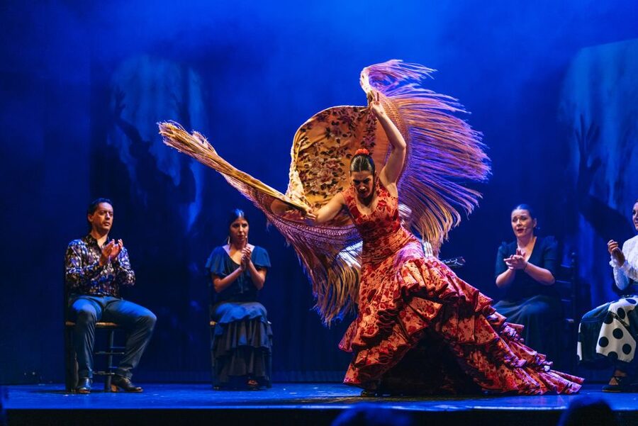 Madrid: "Emociones" Live Flamenco Performance - Is $34 a fair price?