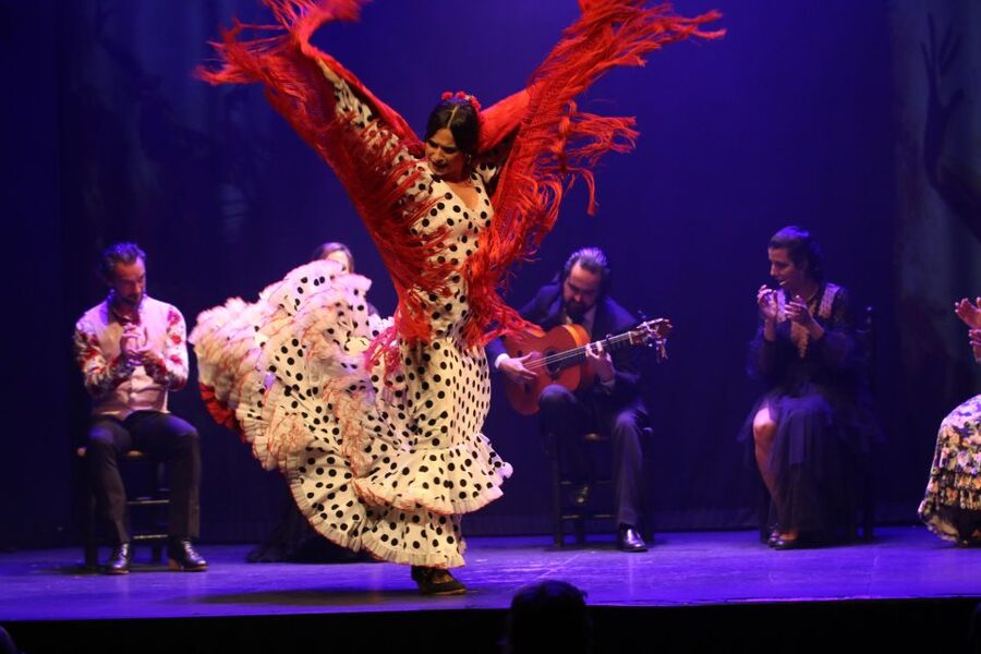 Madrid: "Emociones" Live Flamenco Performance - Who will enjoy this show most?