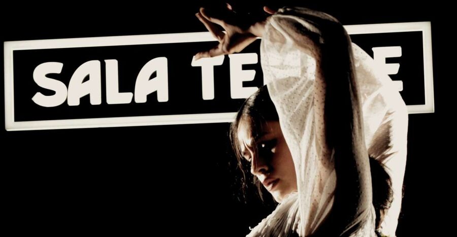 Madrid: Flamenco Show at Tablao Sala Temple with Drink - Why the small room changes the experience