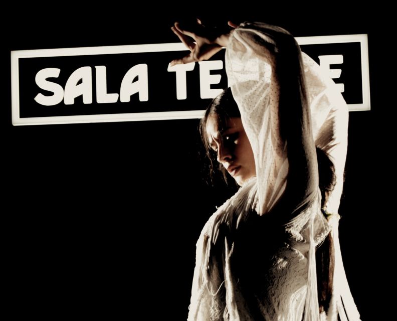 Madrid: Flamenco Show at Tablao Sala Temple with Drink - Is $29 good value for Madrid?