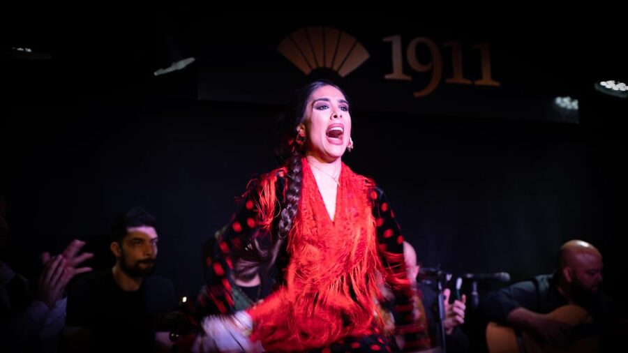 Madrid: Flamenco Show&Drink at Tablao 1911 (World's Oldest) - The small stage and the question of seats