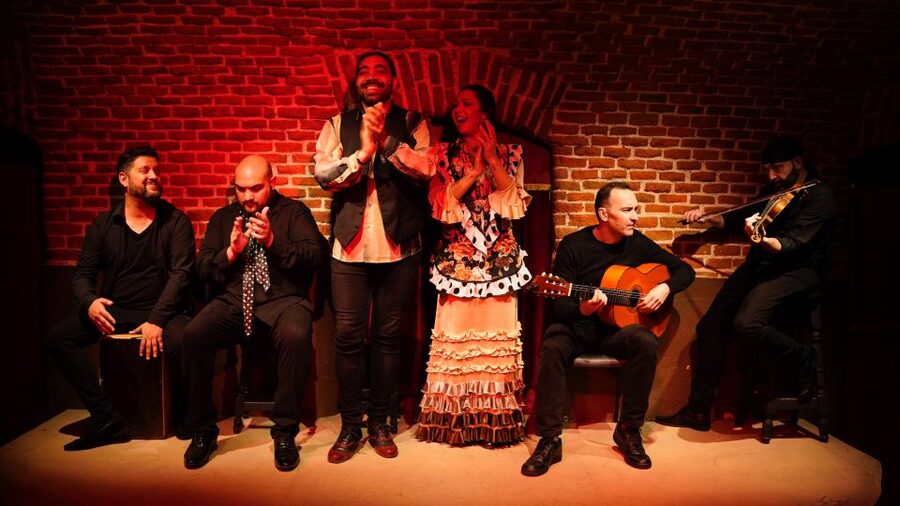 Madrid: Flamenco Show Entry Ticket with Drink & Artist Talk - What $41 gets you