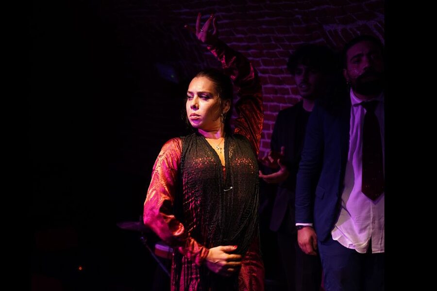 Madrid: Flamenco Show Entry Ticket with Drink & Artist Talk - The short talk puts flamenco in context