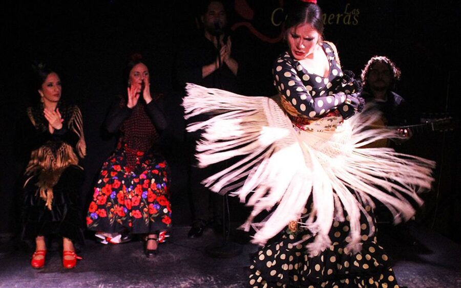 Madrid: Flamenco Show with Tapas and Wine Tour - At a glance