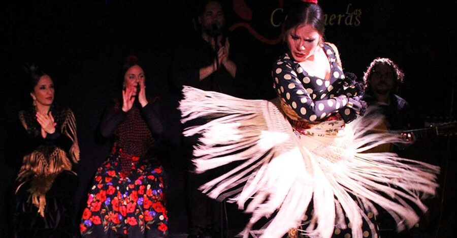 Madrid: Flamenco Show with Tapas and Wine Tour - Mushrooms, wine, or cider in an old setting