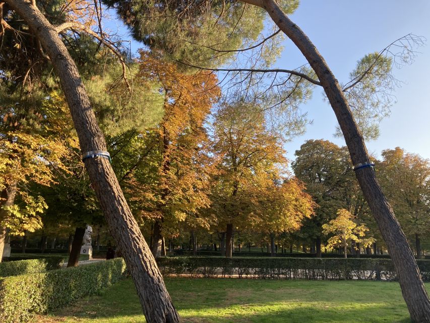 Madrid: Flow Yoga class in Retiro Park - Weather, Clothing, and Simple Preparation