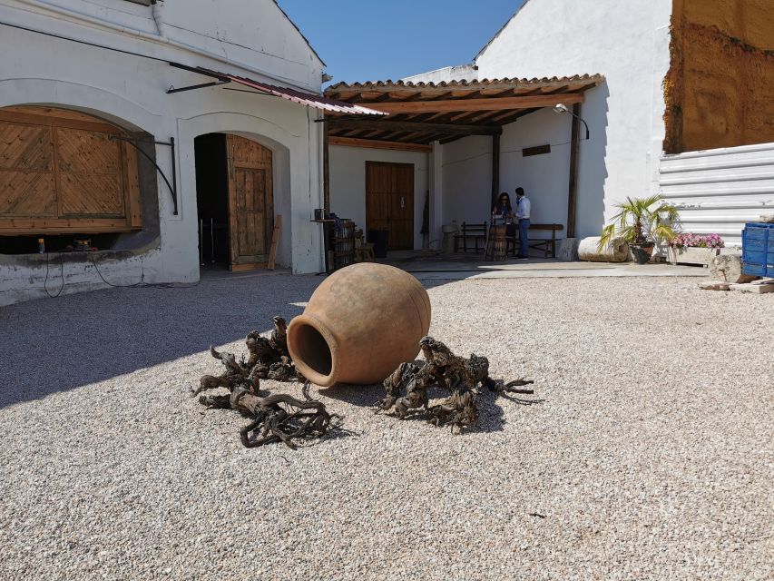 Madrid: half day wine region tour - Who will enjoy this outing most