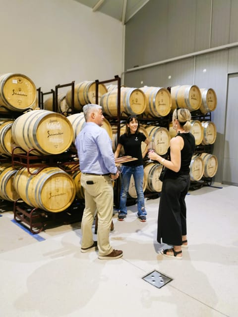 Madrid: half day wine region tour - Why Madrid’s wine country makes a good half-day outing