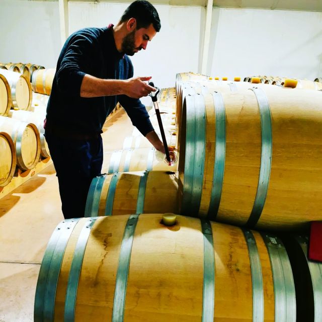 Madrid: half day wine region tour - Second winery: compare the bottles and the setting