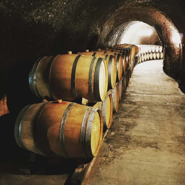 Madrid: half day wine region tour - What the six-hour timing really feels like