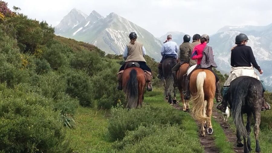 Madrid: Horse Riding in Sierra del Guadarrama National Park - Why this mountain ride is worth leaving Madrid for