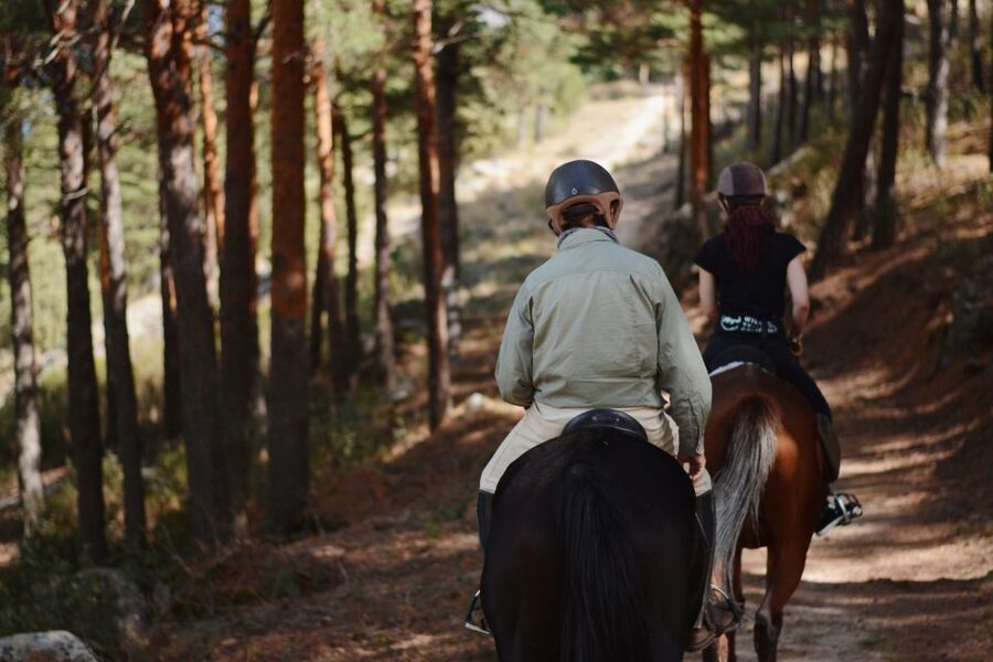 Madrid: Horse Riding in Sierra del Guadarrama National Park - Two hours on horseback near Navacerrada