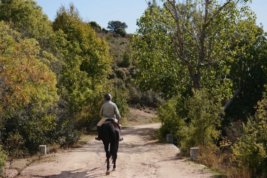 Madrid: Horse Riding in Sierra del Guadarrama National Park - Clothing, fitness, and who should book