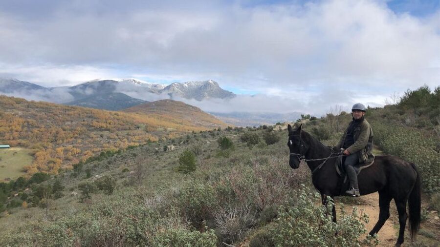 Madrid: Horse Riding in Sierra del Guadarrama National Park - A practical look at the $88 price