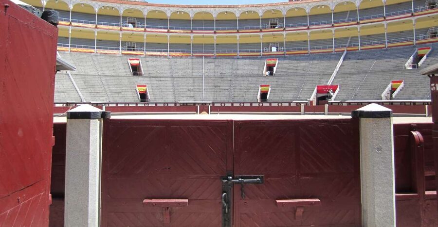 Madrid: Las Ventas Bullring VIP Private Guided Tour - Inside the bullring: scale, ritual, and the ring itself