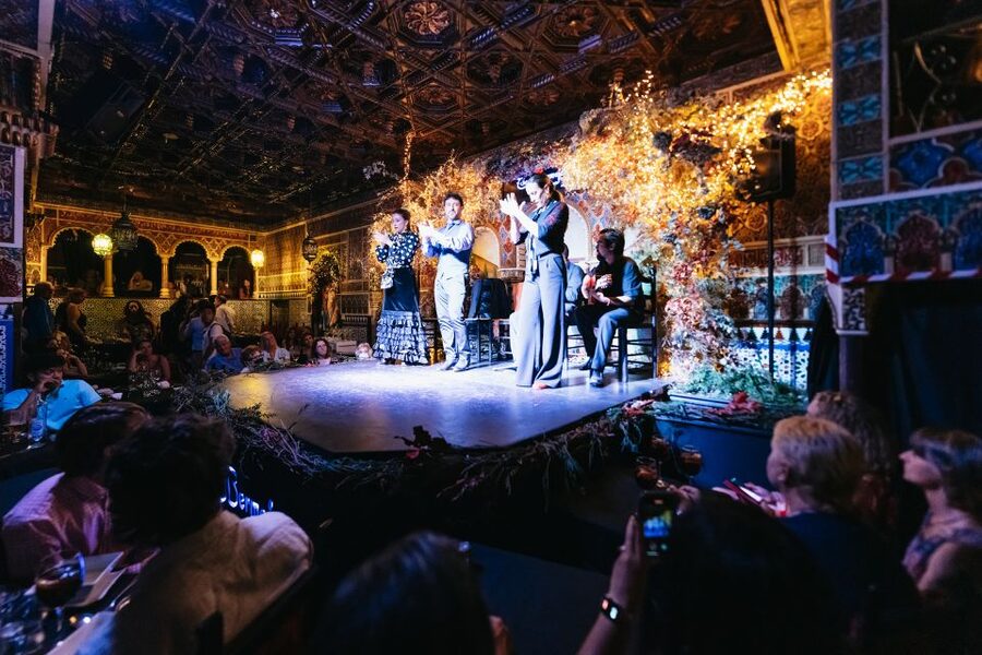 Madrid: Live Flamenco Show with Food and Drinks Options - Who will get the most from this experience?