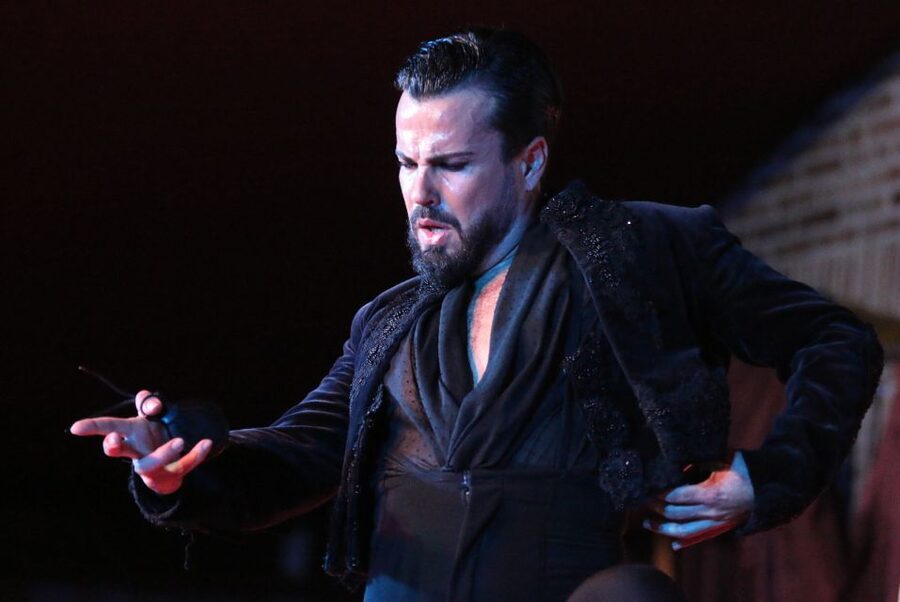 Madrid: Los Porches Flamenco Show with Tapas and Wine Ticket - Who will enjoy Los Porches most?