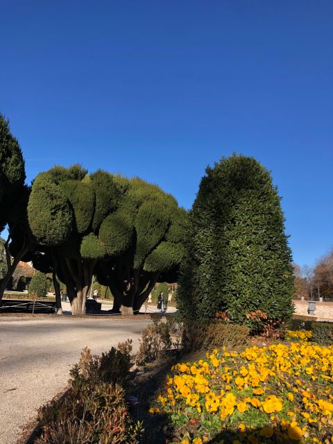Madrid: Prado Avenue and Retiro Park Guided Walking Tour - The pond and the shady gardens