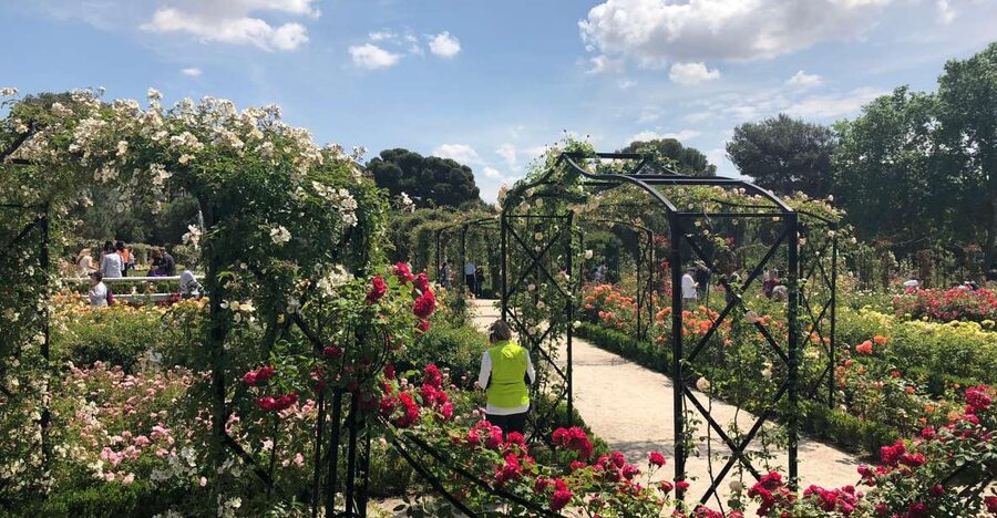 Madrid: Prado Avenue and Retiro Park Guided Walking Tour - Cibeles and Madrid’s grand avenue