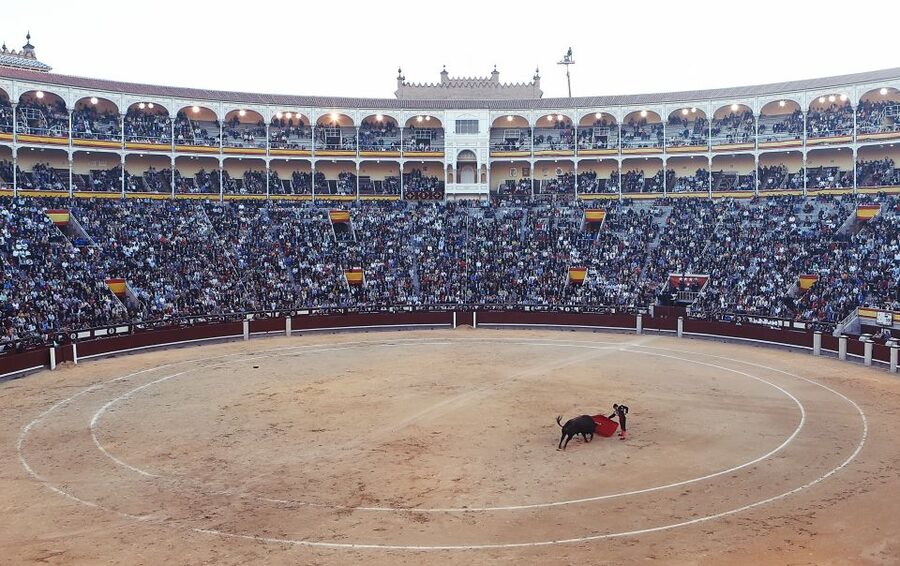 Madrid: Private Customized Walking Tour with a Local Host - Language, group size, and booking flexibility