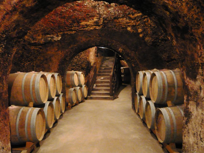 Madrid Region Wineries Guided Tour with Wine Tastings - Key points at a glance