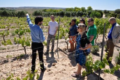 Madrid Region Wineries Guided Tour with Wine Tastings
