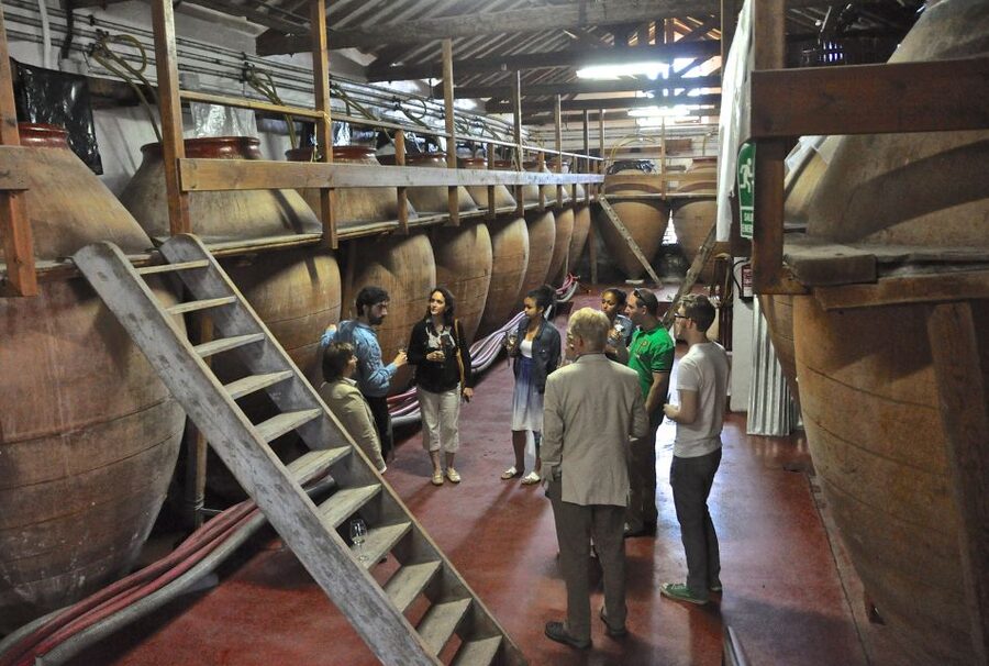 Madrid Region Wineries Guided Tour with Wine Tastings - What the $171 price gets you