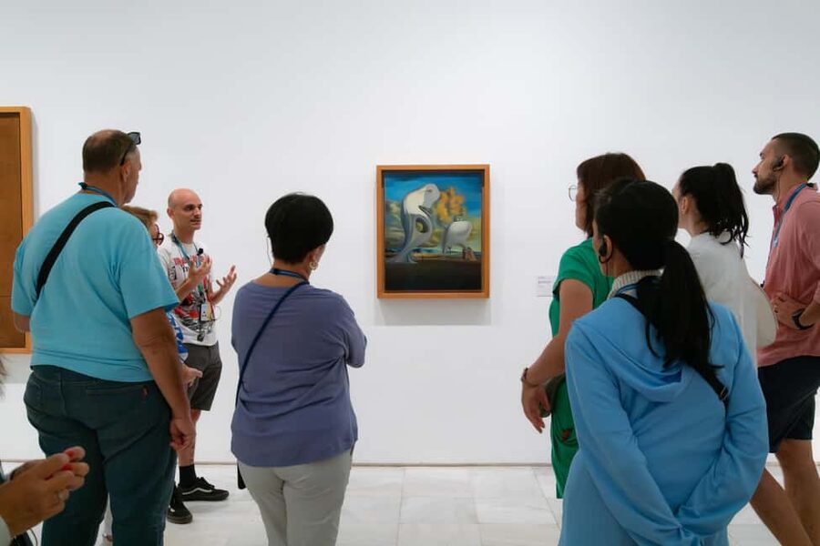 Madrid: Reina Sofía Guided Tour with Skip-the-Line Tickets - Why the Reina Sofía deserves a guided visit