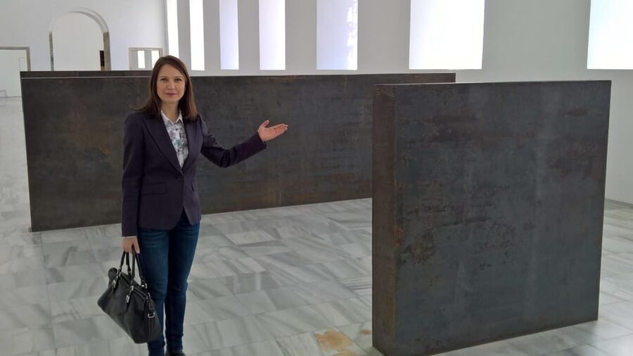 Madrid Reina Sofia Museum & Picasso's Guernica Private Tour - A focused route through Spain’s modern art