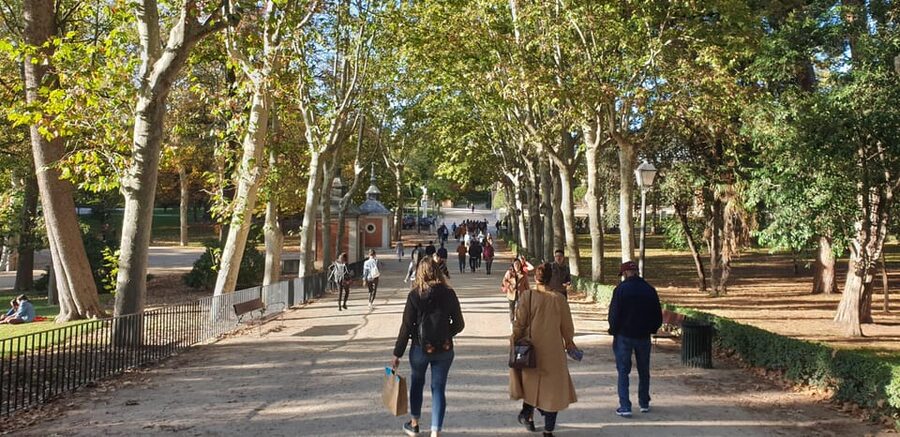 Madrid: Retiro Park Guided Tour with a Photographer - Who will enjoy this Retiro experience most?