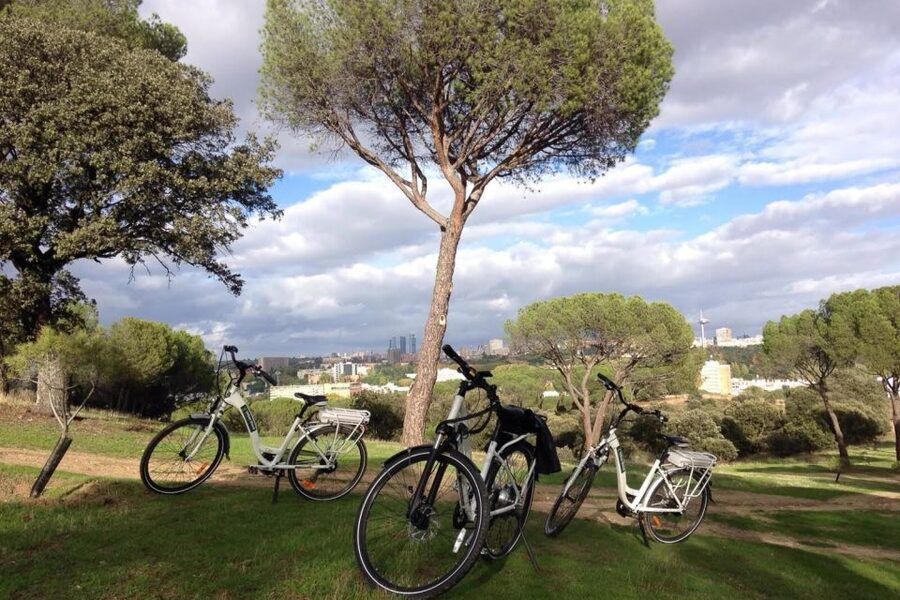 Madrid’s River Side & Casa de Campo Electric Bike Tour - Entering Casa de Campo, Madrid’s great green escape