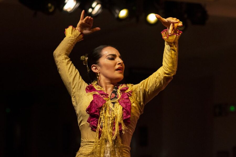 Madrid: Tablao de La Villa Flamenco Show - What happens during the one-hour performance