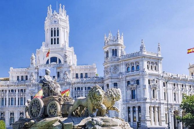 Madrid VIP Private & Secure Airport Transfer - What the driver adds to the experience