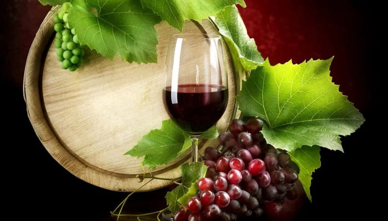 Madrid Wine Tasting, Flamenco Class and Pub Crawl - Should you book this Madrid night out?