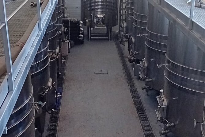 Madrid Wine Tour: Visit Two Wineries with Tastings - How much value do you get for $192.25?