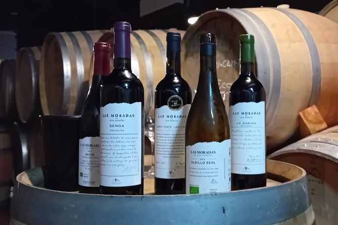 Madrid Wine Tour: Visit Two Wineries with Tastings - Meeting point, timing, and cancellations