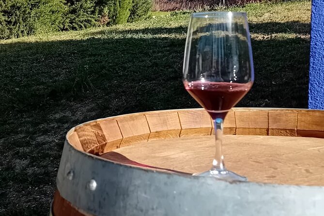 Madrid Winery Tour with Tasting and Sommelier Guide - Why San Martín de Valdeiglesias matters